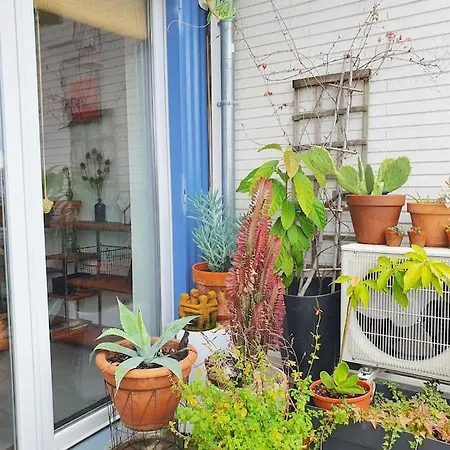 Charmant T3 Calme & Confortable - Proche Metro Apartamento Toulouse